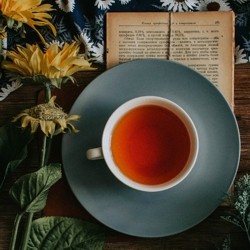 Rooibos