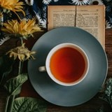 Rooibos