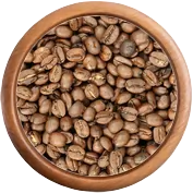Káva: Laos Bolaven Plateau
