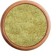 Korenie: Sviečková