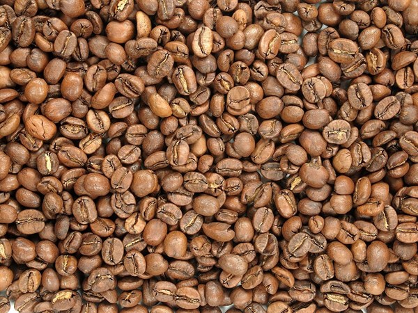 Káva Arabica Kostarika Hacienda Sonora