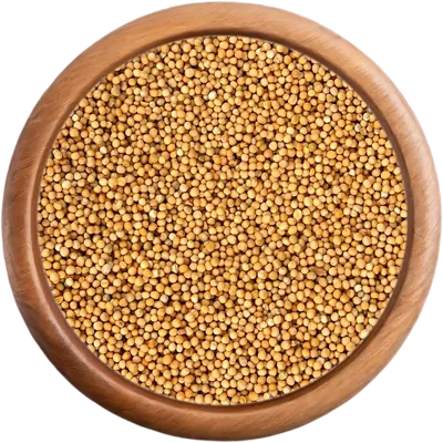 Bio korenie Horčica biela celá BIO