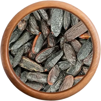 Korenie Tonka fazuľa