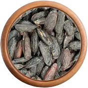 Bio korenie: Tonka fazuľa BIO