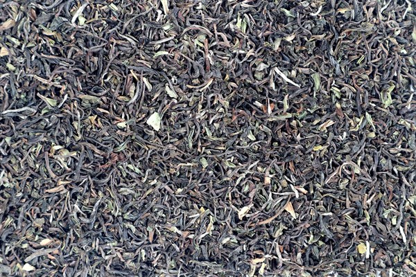 Darjeeling first flush FTGFOPI Bannockburn