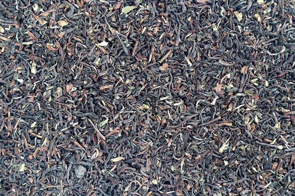 Darjeeling second flush FTGFOPI Balasun