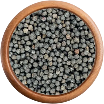 Korenie Korenie verbena