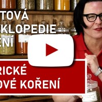 Americké rumové korenie (video)