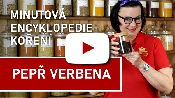 Korenie verbena (video)