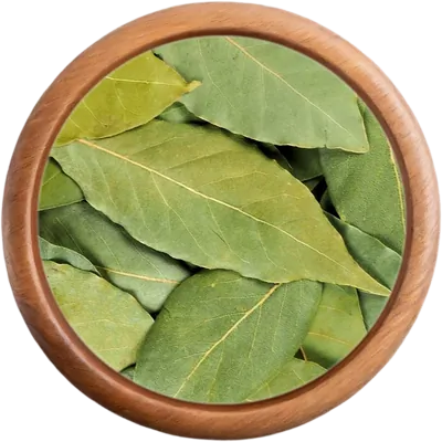 Korenie Bobkový list celý