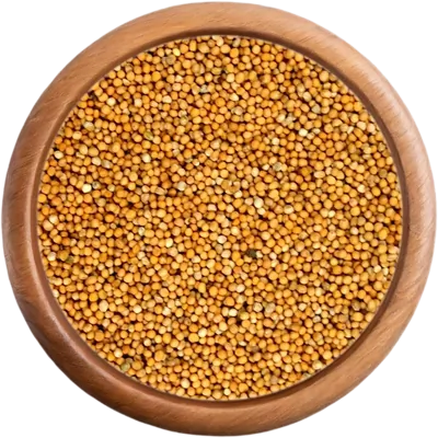 Biela horčica celé semienka