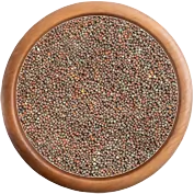 Korenie: Horčica čierna celá