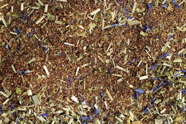 Rooibos Rooibos mandarínka BIO