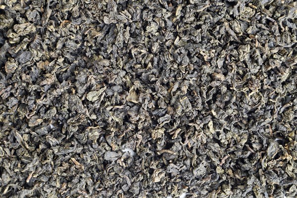 Oolong čaj Oolong vanilka s karamelom BIO