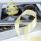 Darčeková sada ovocných čajov