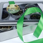 Darčeková sada ochutených čajov