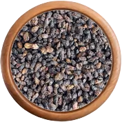 Korenie: Patagónske korenie